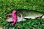 Isca Soft King Craw HkD Lures - Imagem 8
