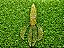 Alligator Pro Fishing Big Boss - Imagem 4