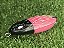 Big Snakehead - Imagem 7