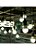 Lâmpada Led 15W Taschibra TKL90 Bivolt Soquete E27 - Imagem 6