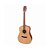 Violão Giannini FK1 Goal Full Acústico Aço Natural Satin - Imagem 1