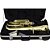 Bombardino Euphonium 4 Pistos Ep 240 Laqueado Dourado Com Case New York - Imagem 5