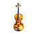 Violino Benson 4/4 BVR302 Series Fosco com Estojo - Imagem 1