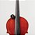 Afinador Recarregável Violino D Addario NEXXUS 360 PW-CT-30 - Imagem 8