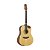 Violao Aco Sd201hcr Ns Folk Fosco Strinberg - Imagem 1