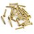 Parafuso Suporte Jack Dourado WO2.5X15-GD (24 Peças) Spirit - Imagem 1