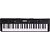 Teclado Harmonics HA-500 Musical 61 Teclas Sensíveis ao Toque - Imagem 1
