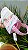 Necessaire Patchwork com mix de tecidos - Imagem 4