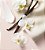 Hidratante Bare Vanilla- Victoria's Secret - Imagem 2