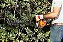 Podador HS 45 STIHL - Imagem 7