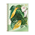CADERNO 10MT TILIBRA NATURALIS - Imagem 4