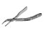 Forceps 69 6B - Imagem 1