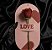 Cartela com Rosa Natural para Presentear - Imagem 1