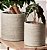 Cachepot para Plantas em Cimento Texturizado Mart (2 tamanhos) - Imagem 1