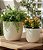 Cachepot Decorativo Redondo em Cimento Branco com Textura (2 Tamanhos) - Imagem 1