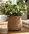 Cachepot Decorativo em Cimento Natural (22x22) - Imagem 1