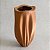Vaso Ascidia Ocre - Holaria - Imagem 2