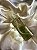 Home spray Mystic Quartzo Verde - Imagem 2
