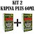 KIT 2 Kapina Plus 60ml - Rawell Química - Imagem 1