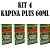 KIT 4 Kapina Plus 60ml - Rawell Química - Imagem 1