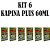 KIT 6 Kapina Plus 60ml - Rawell Química - Imagem 1