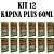 KIT 12 Kapina Plus 60ml - Rawell Química - Imagem 1