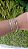 Bracelete Prego Cravejado Folheado - Imagem 2