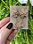 Conjunto Flor De Cristal - Imagem 2