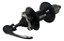 Cubo Traseiro Cassete Rolamento 36f K7 Disco Blocagem Bike - Imagem 3