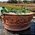 Champanheira Em Cobre Puro Oval Floral Modelo Rustica Evento - Imagem 5