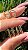 TRIO OVAL LISO - Imagem 1