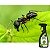 Formicida Forth Mata Formiga Pronto Uso 500ml Para Plantas (7898268381473) - Imagem 5