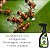 Formicida Forth Mata Formiga Pronto Uso 500ml Para Plantas (7898268381473) - Imagem 4