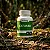 Catuaba em Cápsulas 500 mg – 60 Cápsulas - Imagem 3