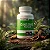 Kit 2 Potes de Ginseng Panax 500 mg – 120 Cápsulas - Imagem 3