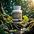 Kit 2 Potes de Ginkgo Biloba 500 mg – 120 Cápsulas - Imagem 3