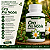 Ora Pro Nobis 500mg Puro | Superalimento Proteico e Digestivo - Davantage Lab - Imagem 2