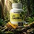 Kit 2 Potes Uxi Amarelo 500 mg – 120 Cápsulas - Imagem 3