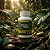 Picão Preto 500 mg – 60 Cápsulas - Imagem 3