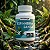 Espinheira Santa 500 mg – 60 Cápsulas - Imagem 3