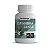 Espinheira Santa 500 mg – 60 Cápsulas - Imagem 1