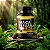 Maca Peruana Negra 500 mg – 120 Cápsulas - Imagem 3