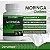 Moringa Oleifera 500 mg – 30 Cápsulas - Imagem 2