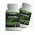 Kit 2 Potes Moringa Oleifera 500 mg – 60 Cápsulas - Imagem 1