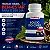 Kit 2 Potes Boldo do Chile 500 mg – 120 Cápsulas - Imagem 2
