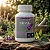 Kit 2 Potes Sálvia 500 mg – 120 Cápsulas - Imagem 3