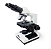 MICROSCÓPIO BASIC BINOCULAR ACROMÁTICO - Imagem 1