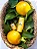 OLEO ESSENCIAL DE LARANJA DOCE 10ML - Imagem 2