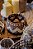 Cesto africana natural e marrom 27x27x17 - Imagem 1