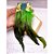 BRINCO AÇO INOX  MEIA FLOR PENA VERDE - DOURADO - Imagem 1